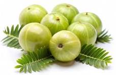 Amla